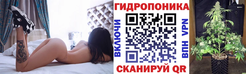 Наркота Элиста ЭКСТАЗИ A PVP Мефедрон Cocaine Гашиш