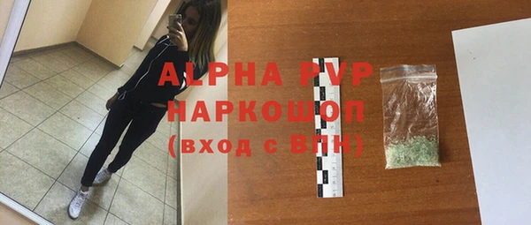 мет Алексин