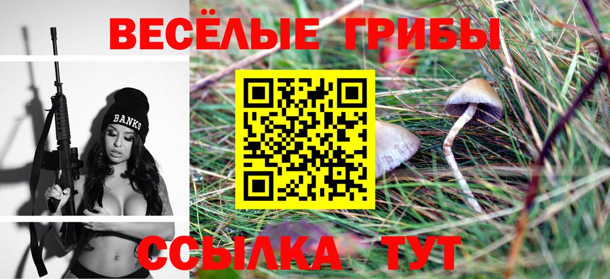 Псилоцибиновые грибы Cubensis  Галлюциногенные грибы GOLDEN TEACHER  Вход с VPN  Элиста 